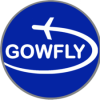 GOWFLY-300x225